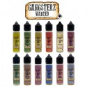 GermanFLAVOURS 10ml Nikotinsalz-Shot 50/50 20mg/ml