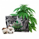 Canna Cotton - Hanf Baumwolle Watte 10g